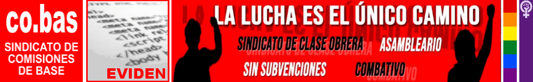 Sección Sindical de Cobas en el Grupo Eviden